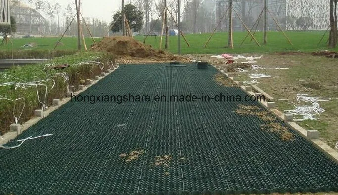 Plastic Grass Grid Used for Car Parking Lot Grass Protection