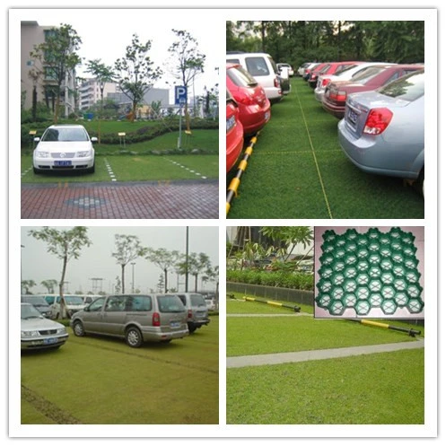 Grass Gravel Plastic Grass Paver Grid Manufacure