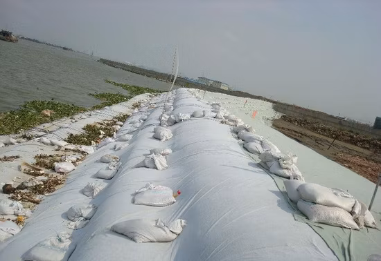 Filament de polypropylène PP non tissé/fibre discontinue de polyester PET non tissé/tissé/court