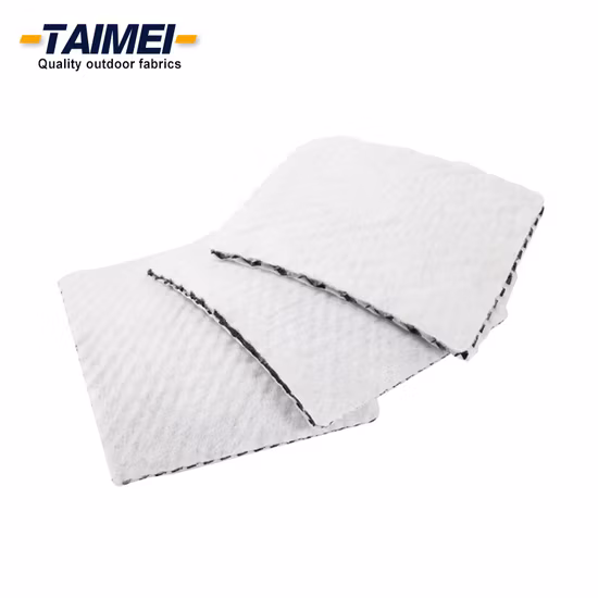 Tapis de drainage géocomposite en plastique renforcé géocomposite géomembrane géocomposite pour la protection des pentes de contrôle de l'érosion