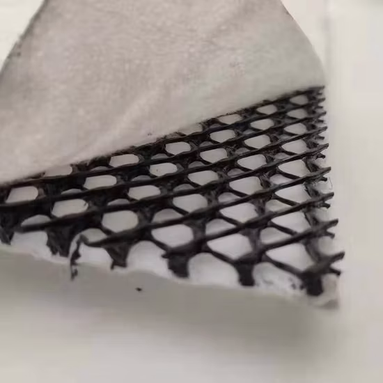 Filet de drainage Geonet en plastique géotextile composite de haute qualité